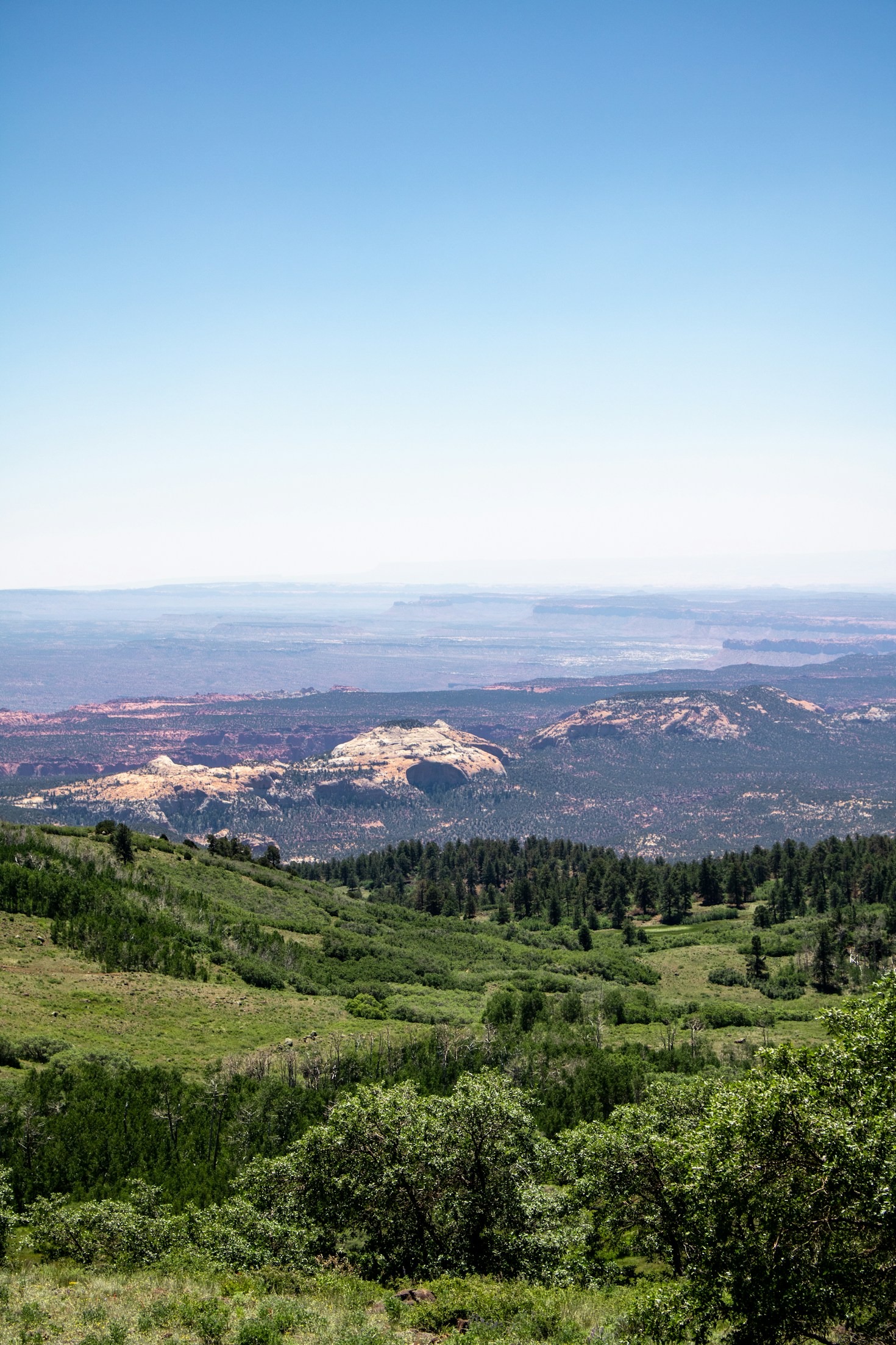 How Broadband Access Transforms Rural Education